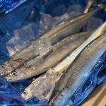 新入荷！秋の味覚「秋刀魚」🐟