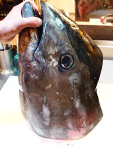 【長崎直送】本マグロ1頭丸ごと入荷！希少部位や贅沢3種盛りを味わう特別な夜🐟🔥